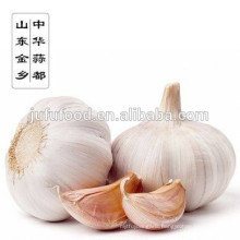 2017 New crop fresh natural normal white garlic